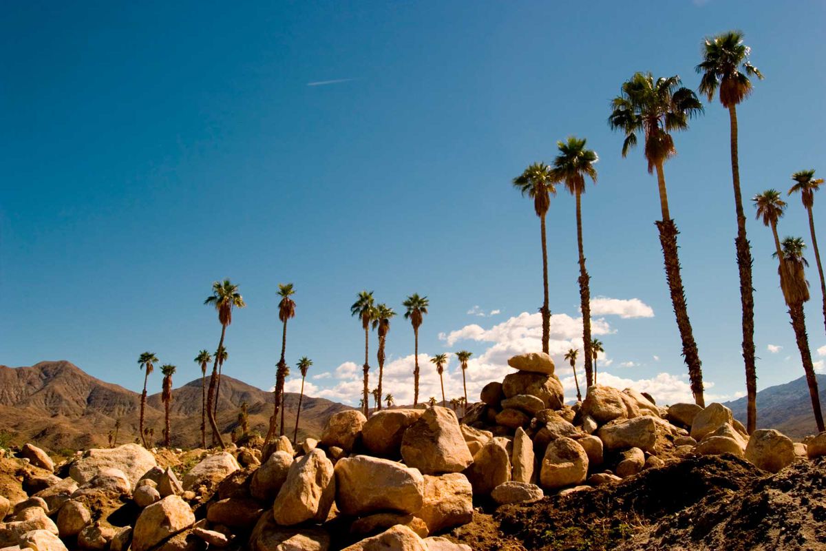 Rocks, palm trees and mountains in Palm Springs, California