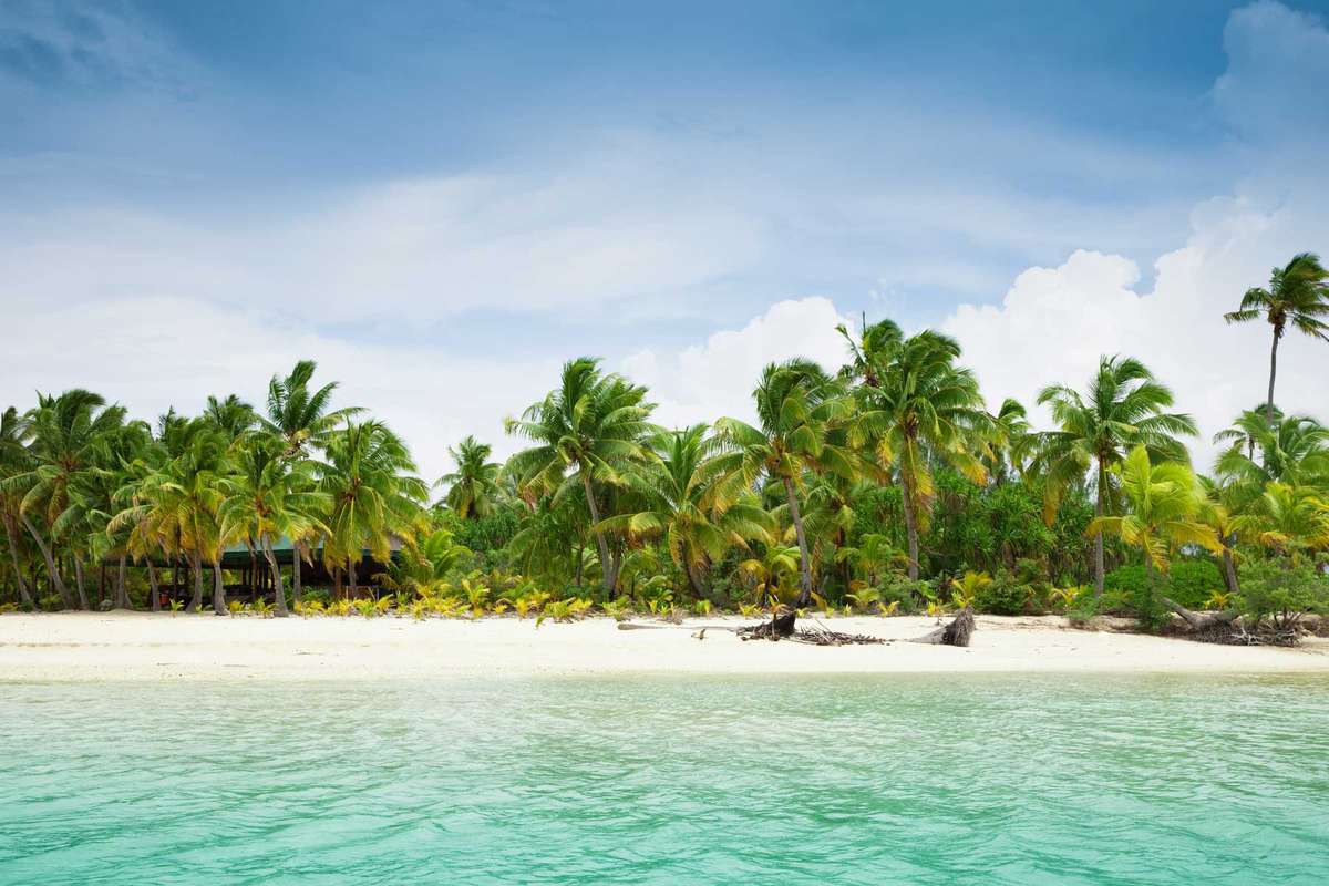 Beach and coconut palms on Aitutaki island, Cook Islands