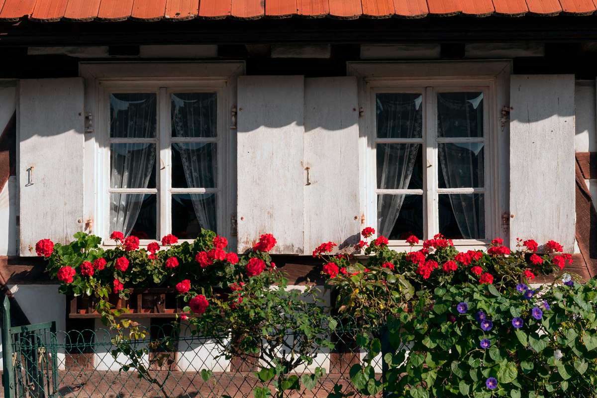 France, Alsace, Hunspach, half-timbered house detail