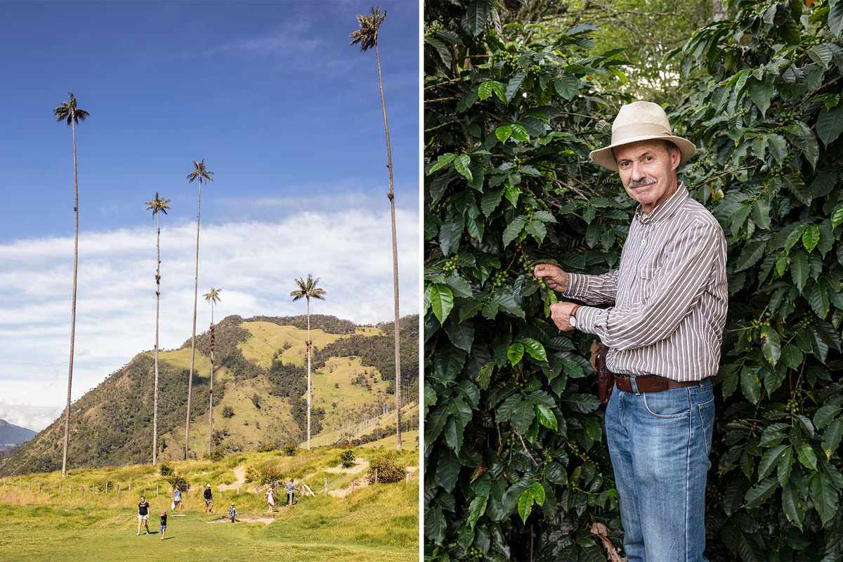 Scenes from Colombia's Eje Cafetero coffee region, including a scenic of the Cocora Valley and a local coffee grower
