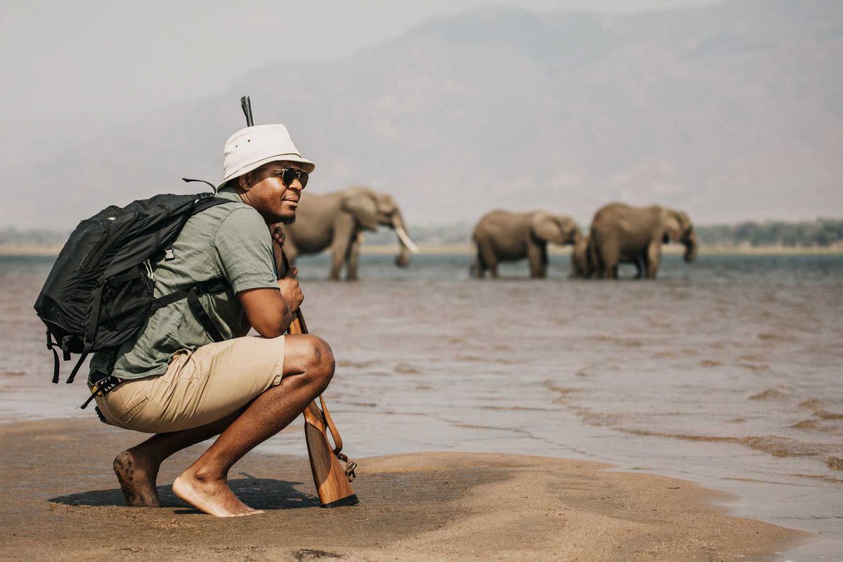 Safari pioneer Beks Ndlovu observes elephants at Nyamatusi Camp, in Zimbabwe