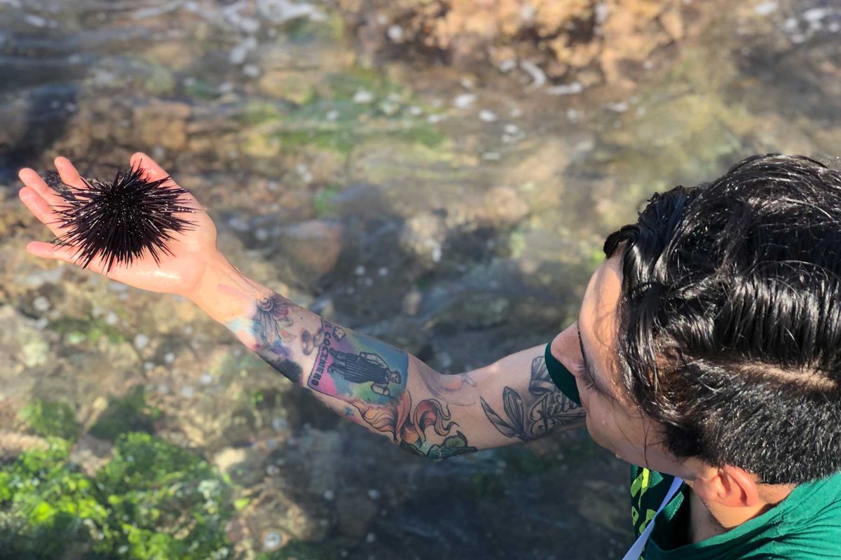 Four Seasons Punta Mita Chef foraging sea urchins