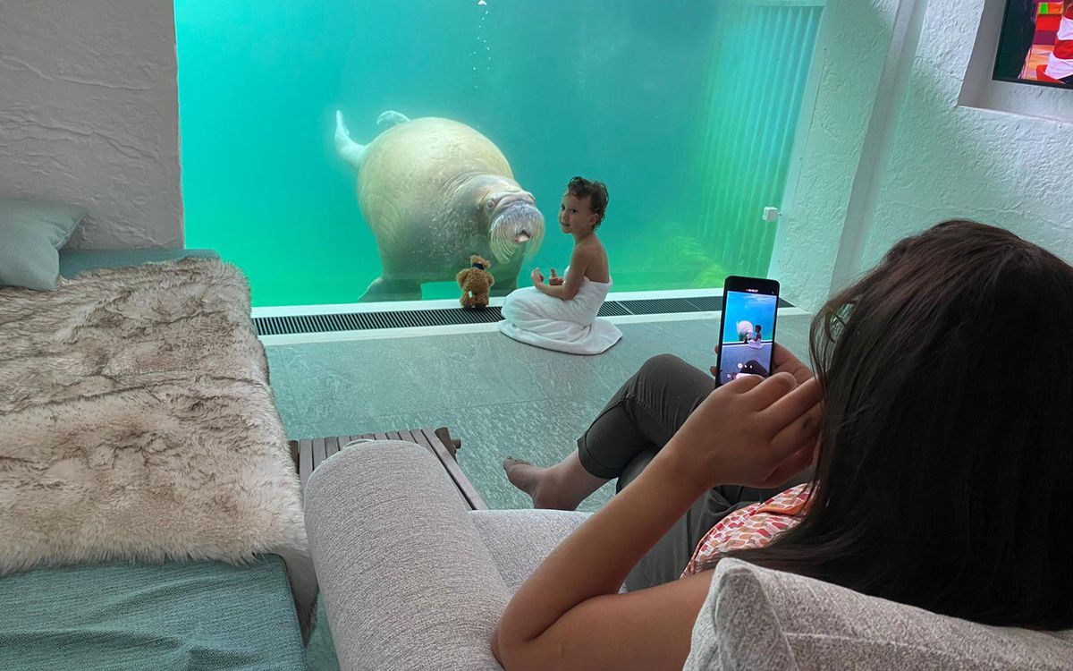 Boy taking picture with walrus in hotel room