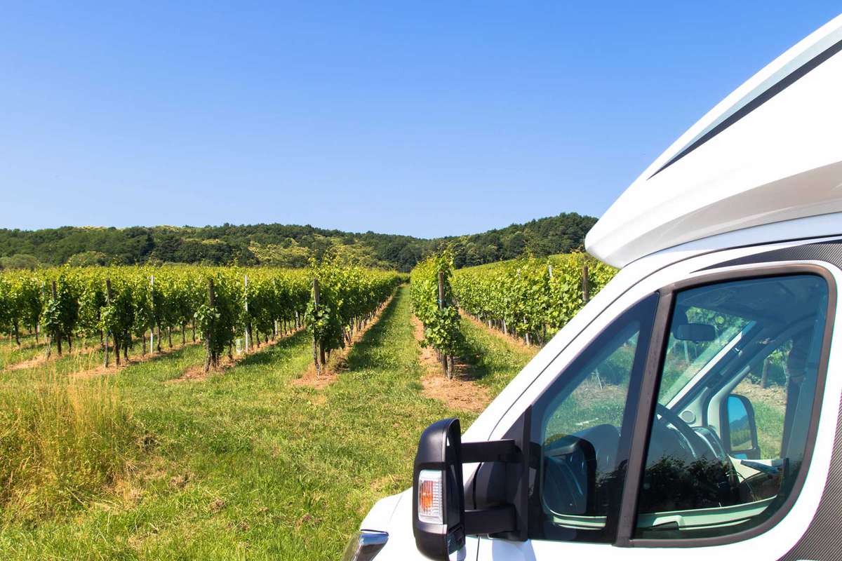 RV Camper parked in front of a vineyard on a sunny day