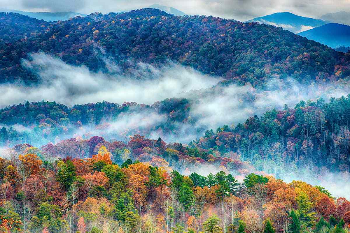 Rainy Autumn Day in the Great Smoky Mountains