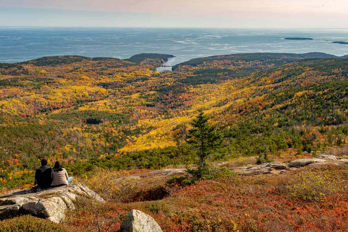 Rocky coastline with fall foliage in the distance at Acadia National Park