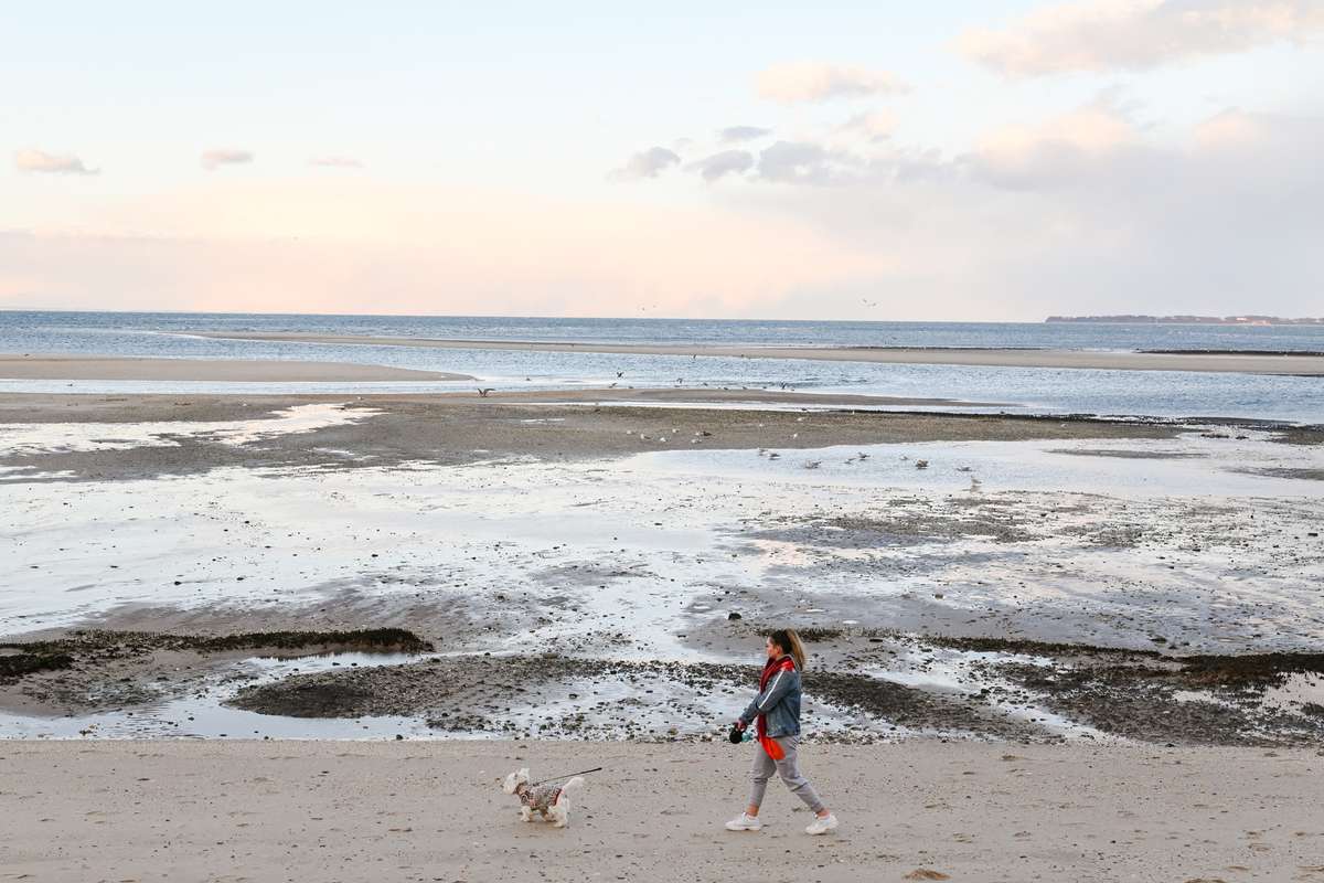 Woman walks dog on beach in winter