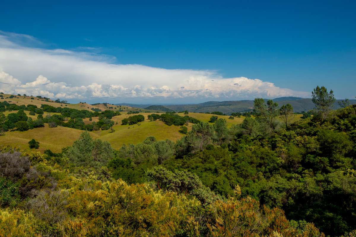 California Gold Country, foothills of the Sierra Nevada in El Dorado County, California