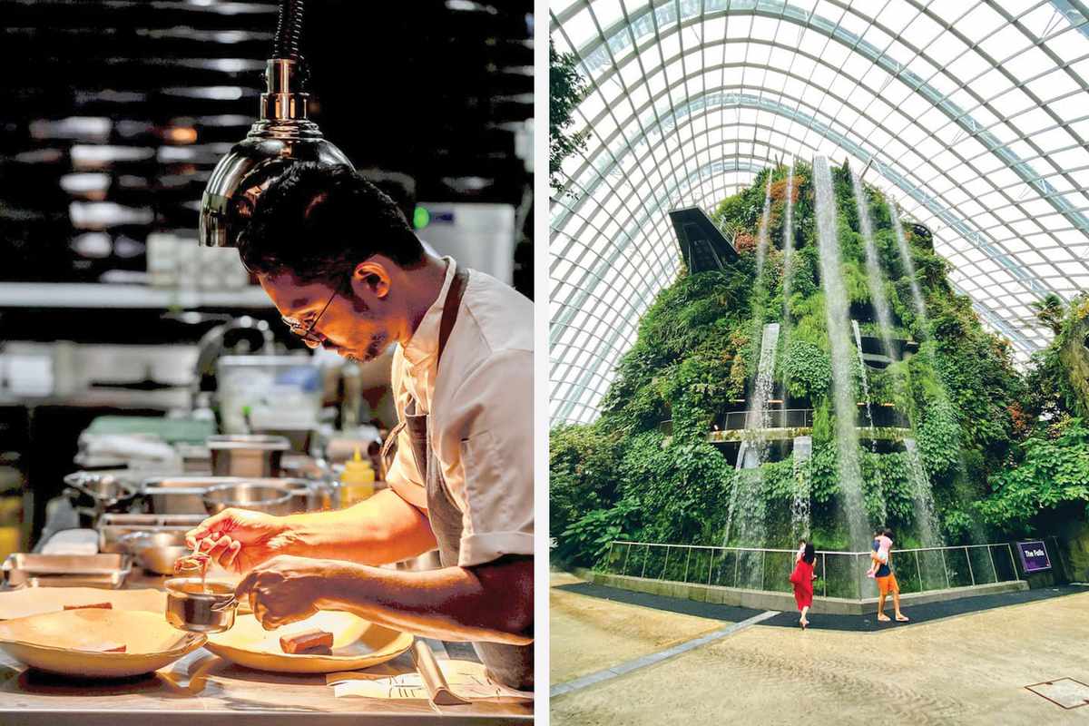 Chef making food in Singapore and the waterfall at the airport