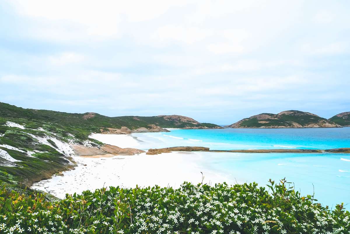 Rolling green hills with small white blooms and the bright blue water in Esperance, Australia