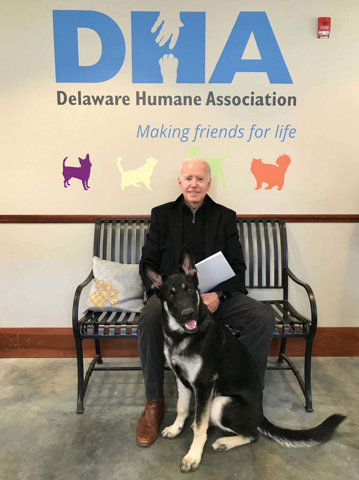 President Joe Biden and dog, Major Biden on his adoption day in 2018 from Delaware Humane Association