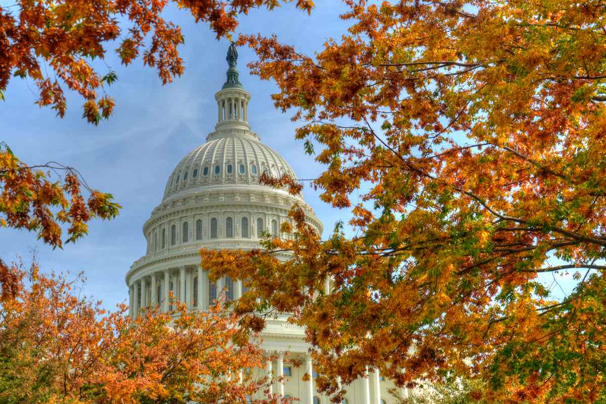 U.S. Capitol Building seen through autumn leaves in Washington, D.C.