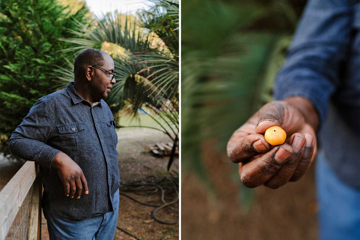 Tony Joes of Morning Glory Homestead Farm, and a photo of a palm berry picked on the farm
