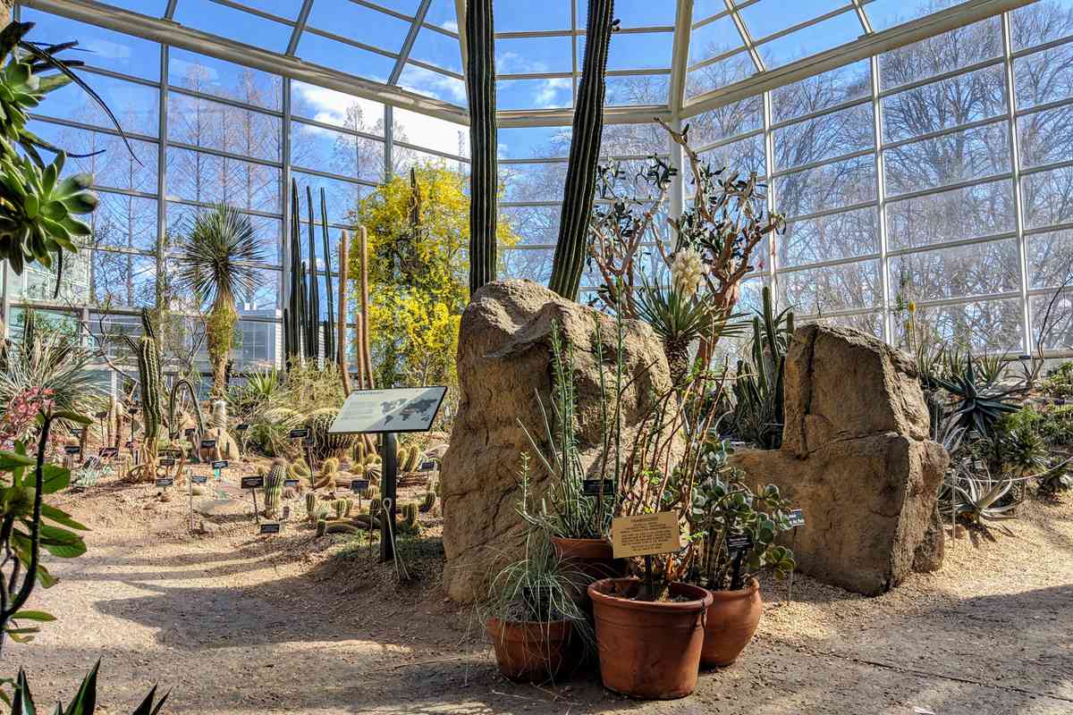Brooklyn Botanical Garden's Desert Room