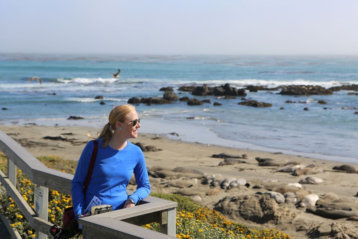 Darley at California coast watching elephant seals on the beach