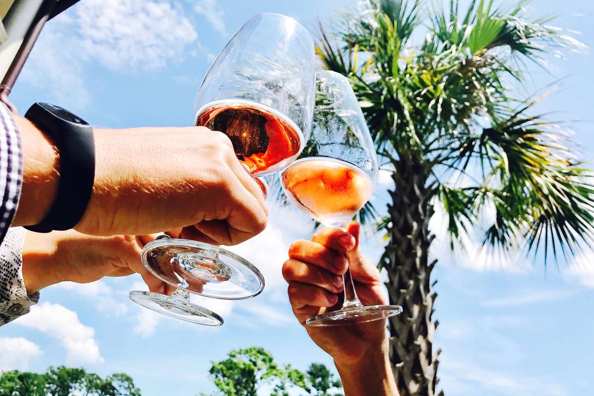 Low Angle View Of Cropped Hands Toasting Drinks Against Trees in Hilton Head Island