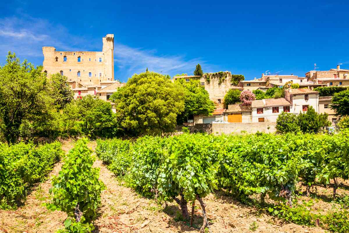 Castle and vineyard in Chateneuf-du-Pape, Provence, France.