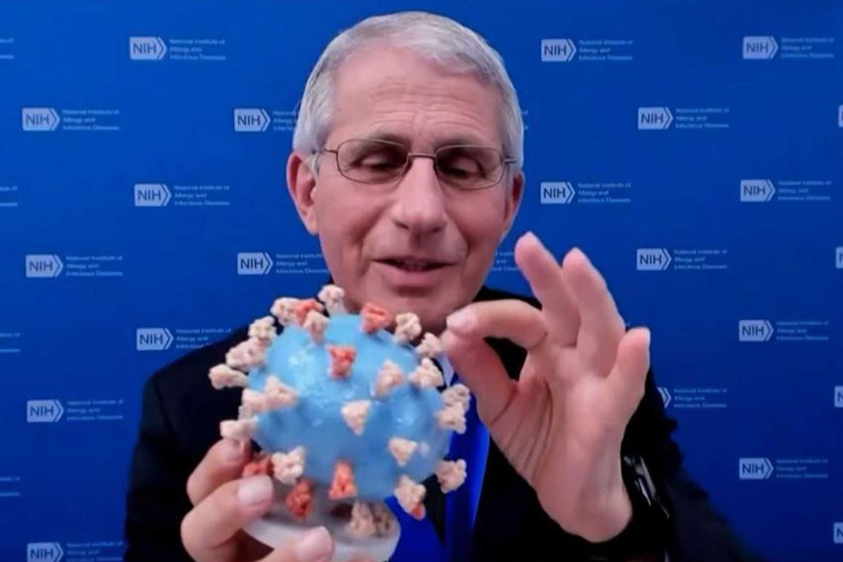 Dr. Anthony Fauci with his coronavirus model