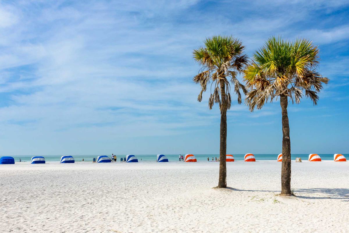 Clearwater Beach, Florida, two palm trees and a row of beach tents