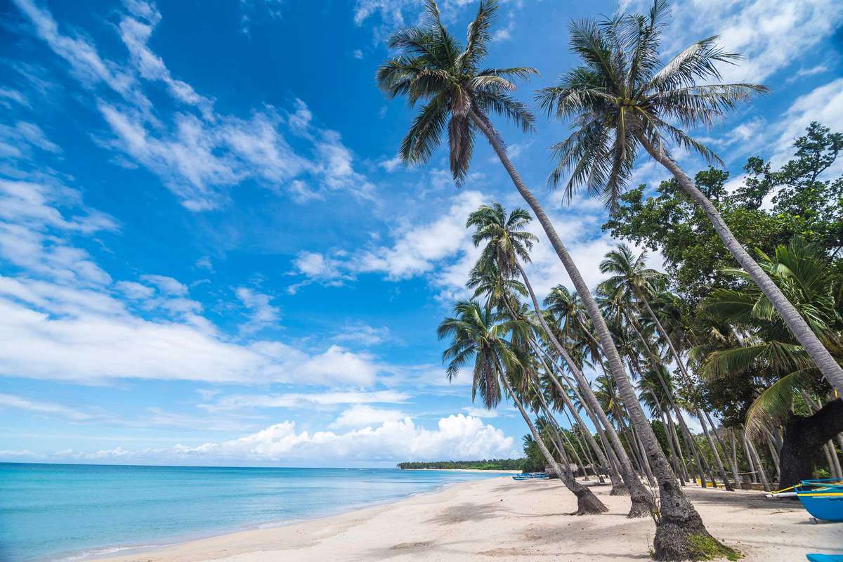 Low angle view of white sand beach and tall coconut palm trees in Saud beach, Pagudpud, Philippines. Beautiful sunny weather and tropical getaway.