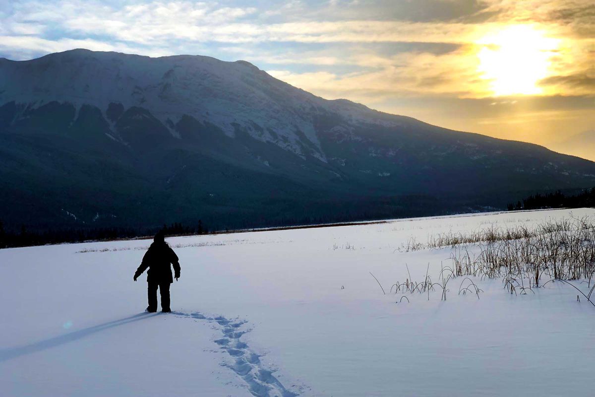 Winter landscape of Alberta, Canada
