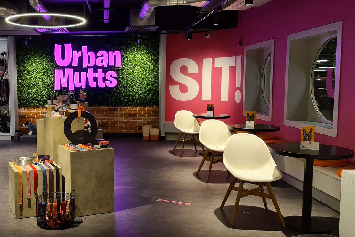 Urban Mutts lobby