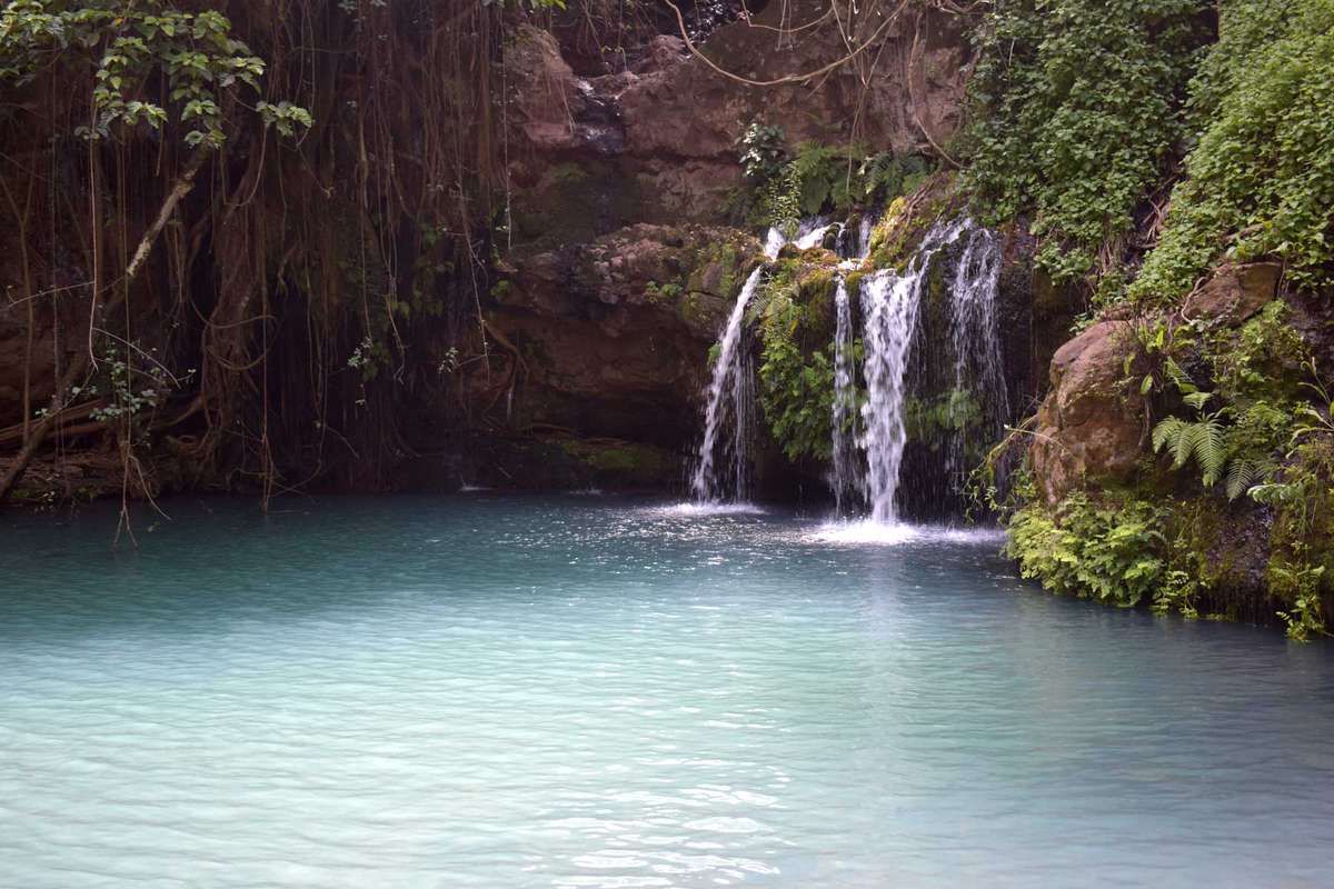 Waterfalls in Ngare Ndare Forest, Kenya