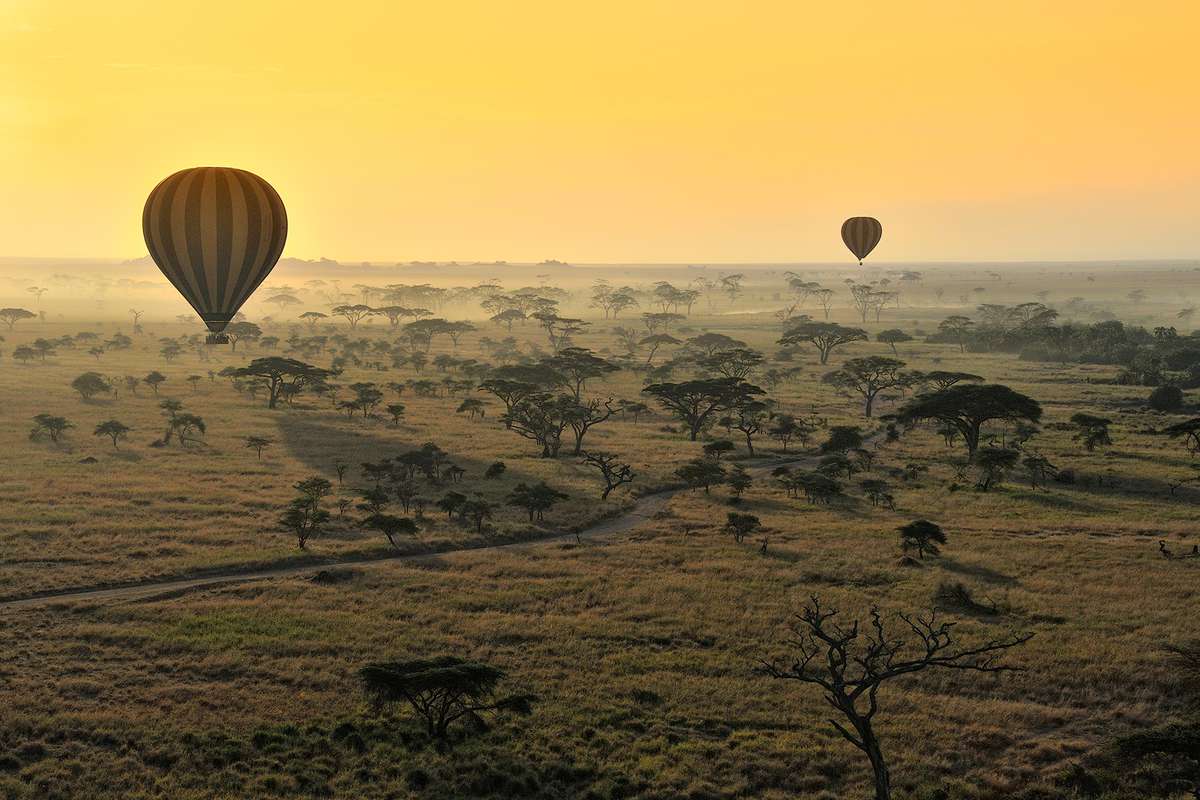 Hot air balloons at sunrise over Serengeti National Park, Tanzania