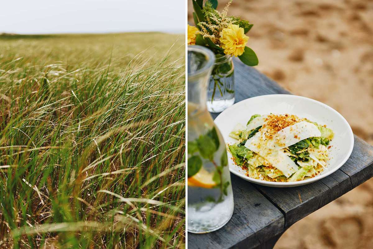 Pair of photos from Provincetown, including a detail of sea grasses, and a Caesar salad on a picnic table