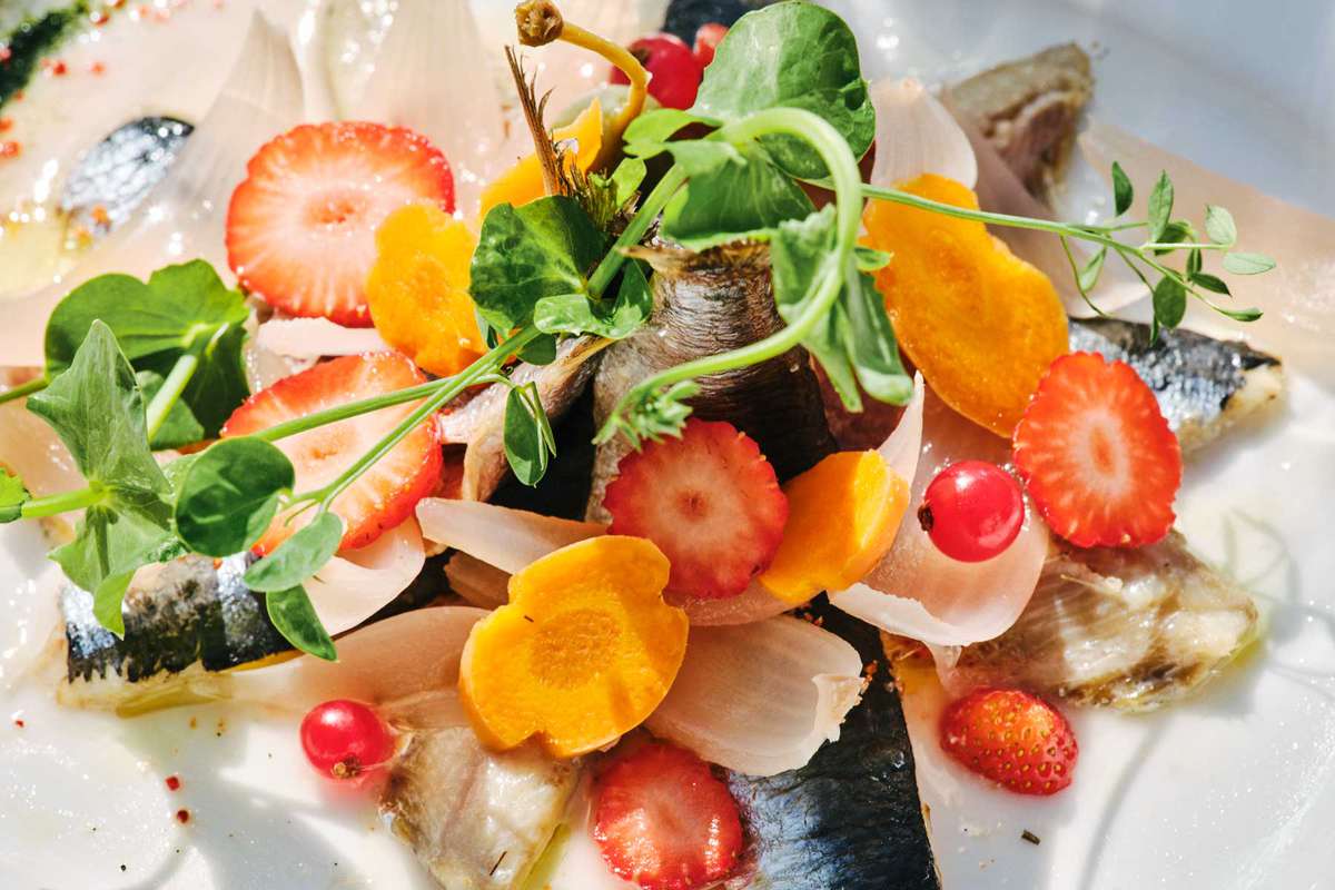 Close up photo of an appetizer dish w/ strawberries, carrots, sardines, and greens at a restaurant in Ile de Re, France