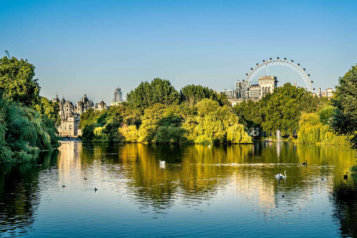 St. James Park, London United Kingdom, a lake with swans and Ferris wheel in the distance