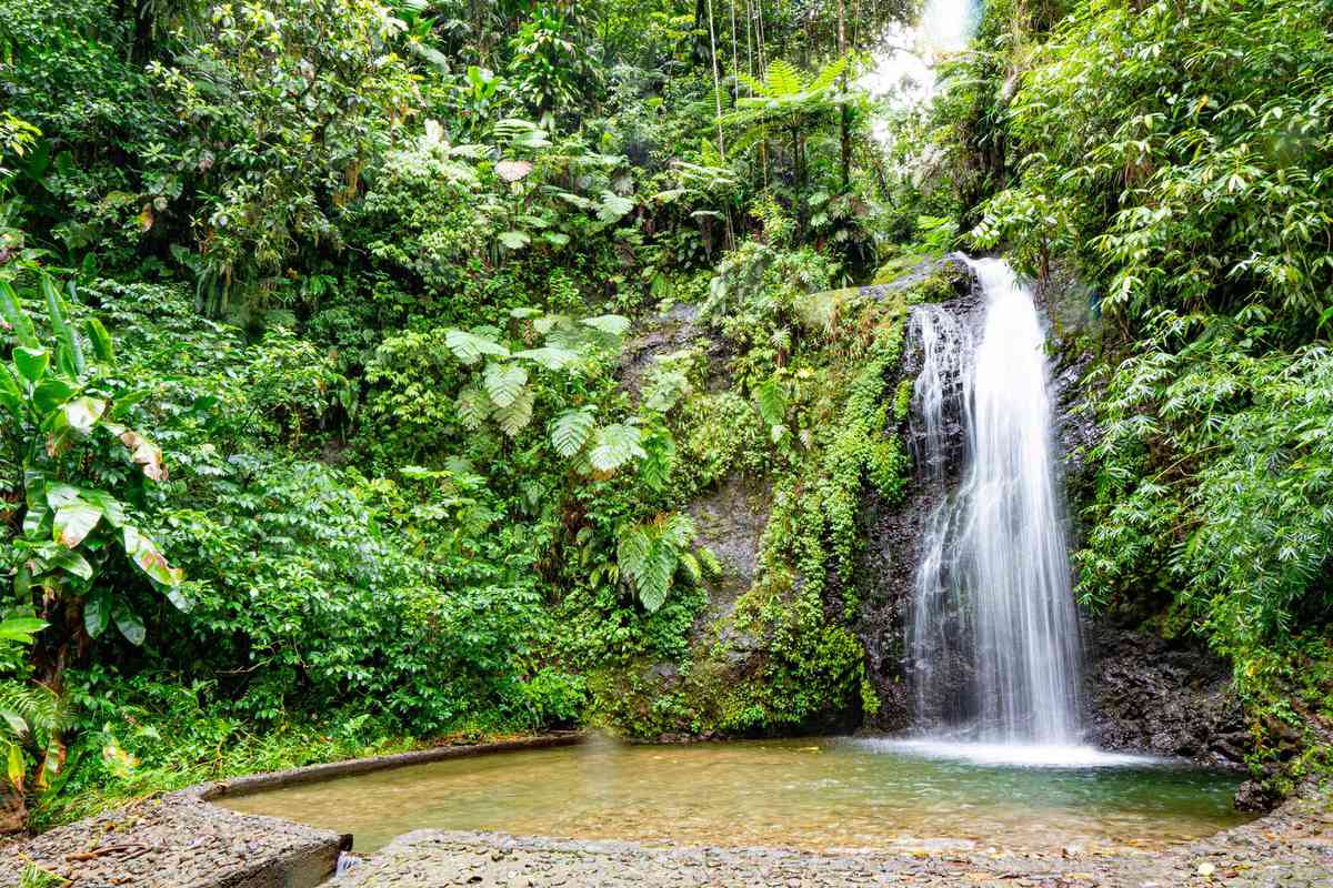 The Saut Gendarme is a small waterfall located in the north of Martinique.