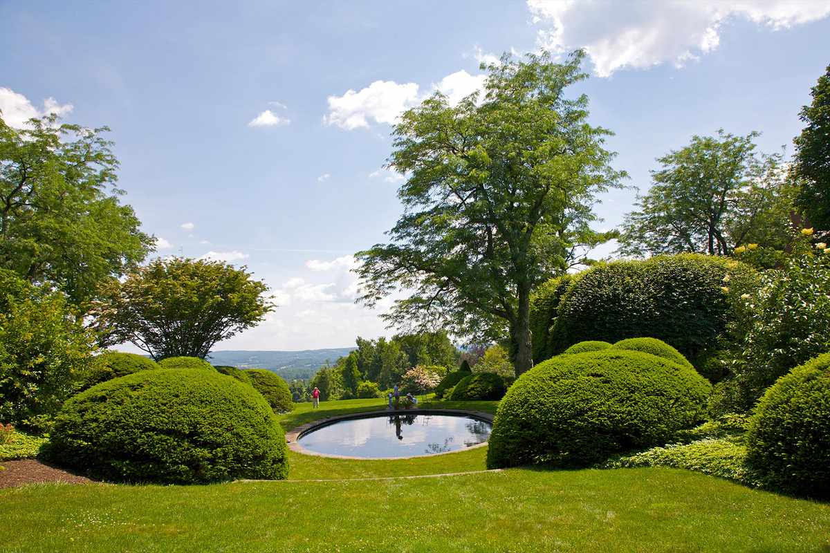 Shaped foliage atop lawn near water garden in summer at Wethersfield, Amenia, New York