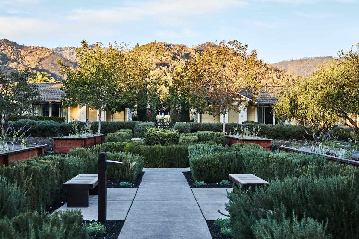 Solage Napa Valley California, hotel pool, guestrooms and dining