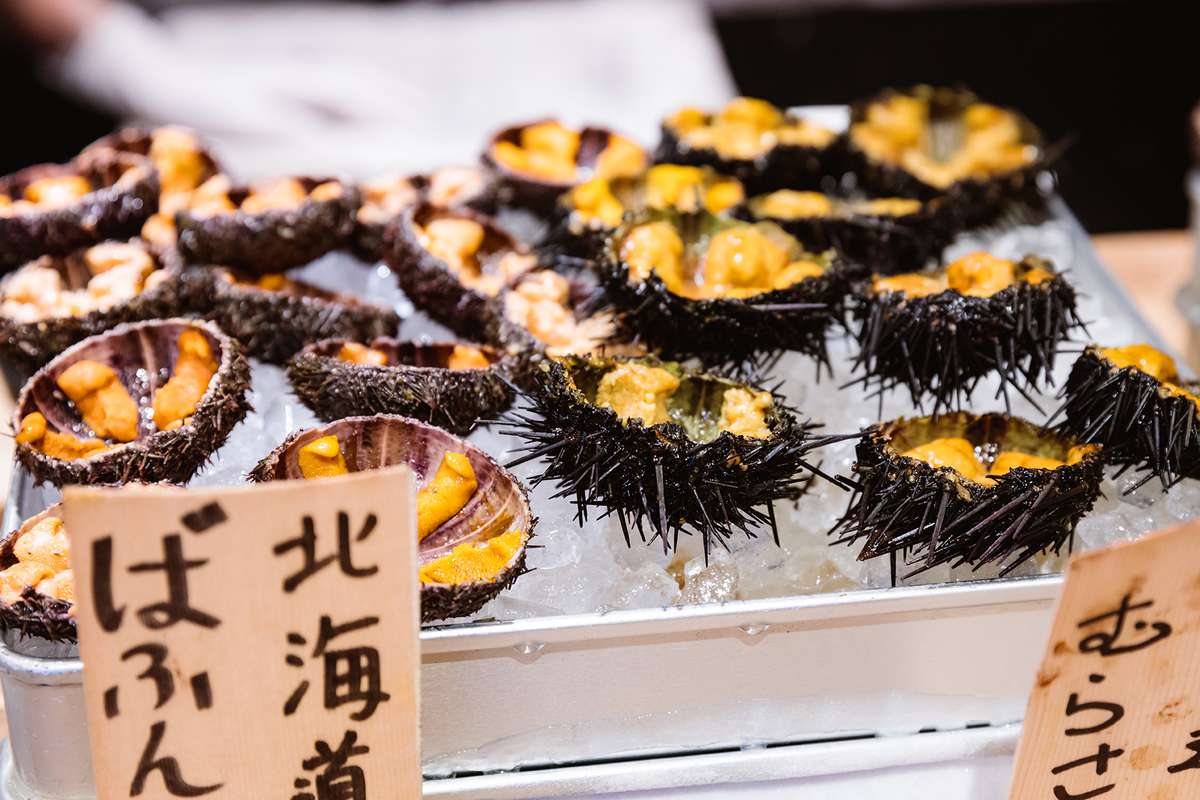 Sea urchins at Tsukiji fish market, Tokyo, Japan