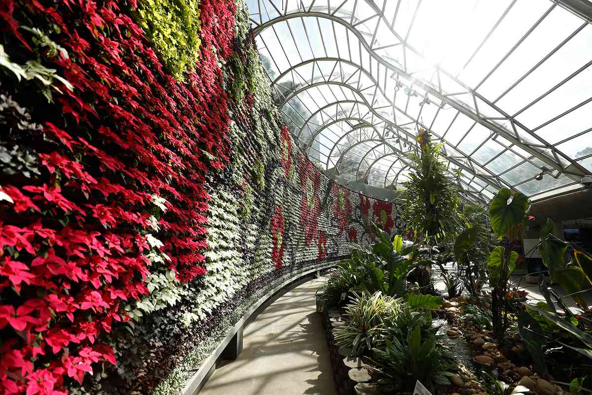 A general view of InBloom at The Calyx at The Royal Botanic Gardens