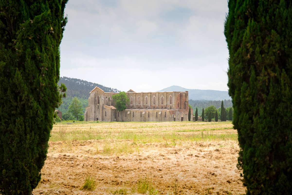 Distant landscape view of san galgano abbey in the summer fields between two cypresses. Chiusdino, Tuscany, Italy.