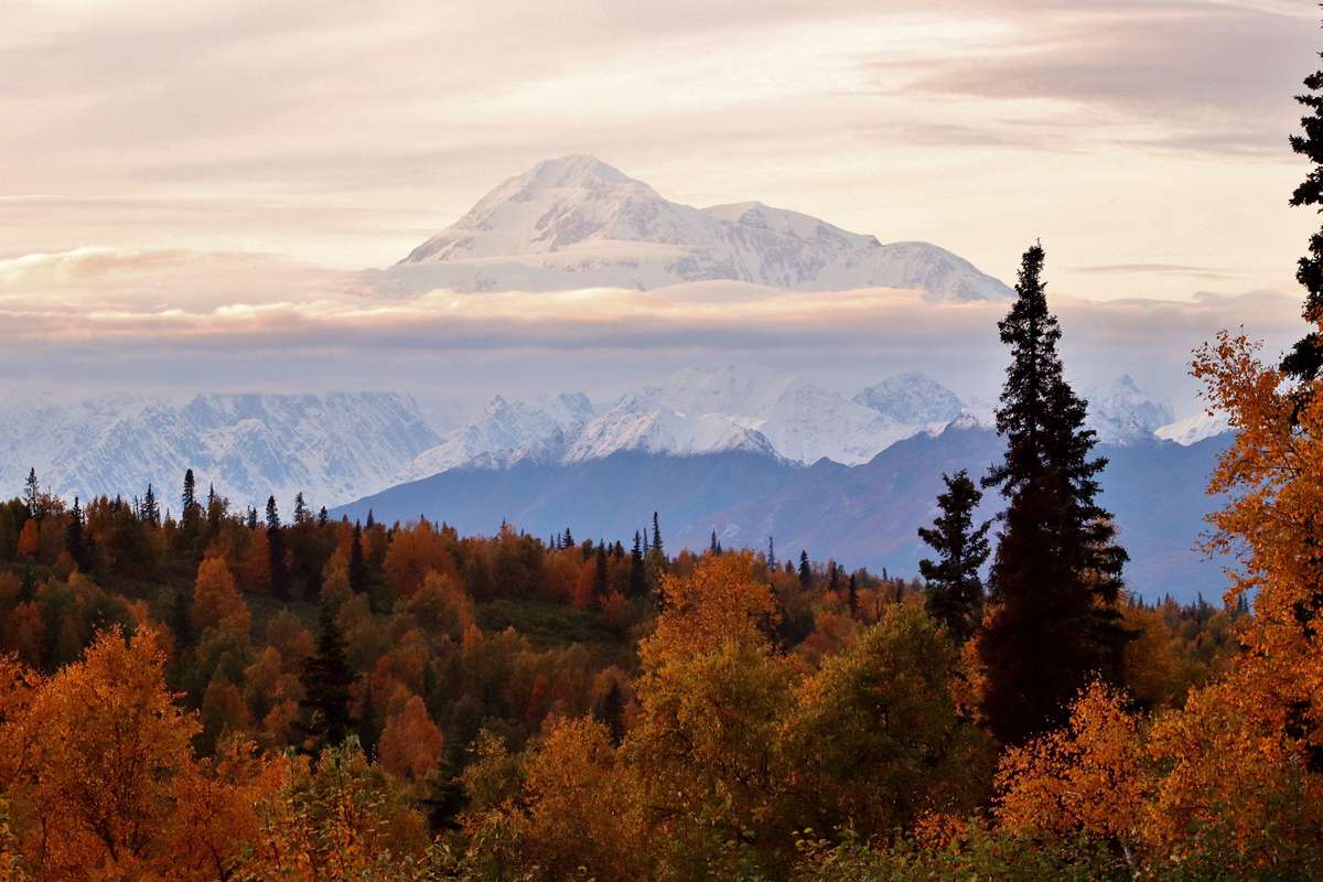 The Alaska fall foliage and a wispy-clouded Denali stun on a gorgeous autumn evening.