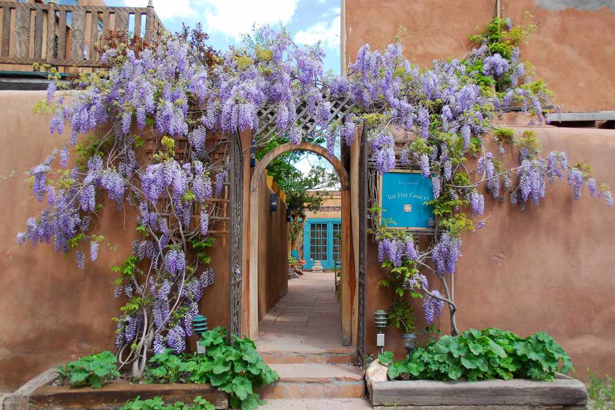 The hydrangea-draped entry to The Inn of The Five Graces, voted one of the best hotels in the world