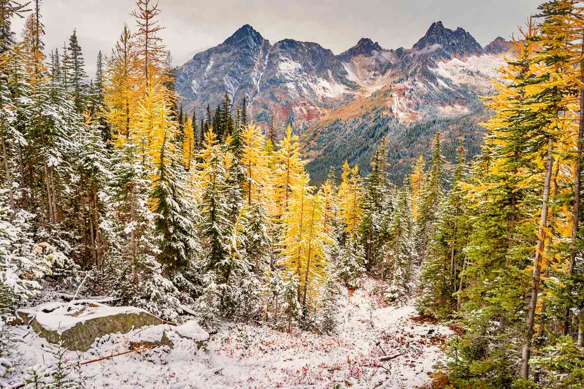North Cascades National Park, Washington state during winter time