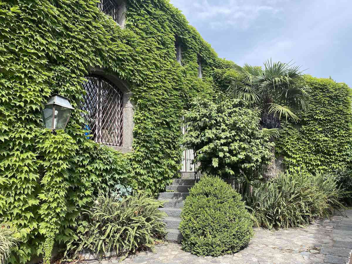 Villa Don Arcangelo all'Olmo Sicily ivy-covered exterior