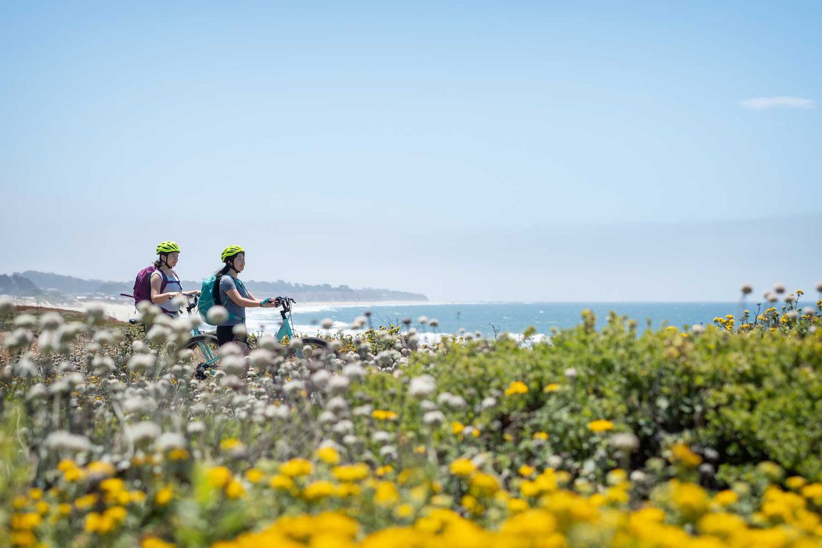 Two cyclists in a field of flowers along the coast in California