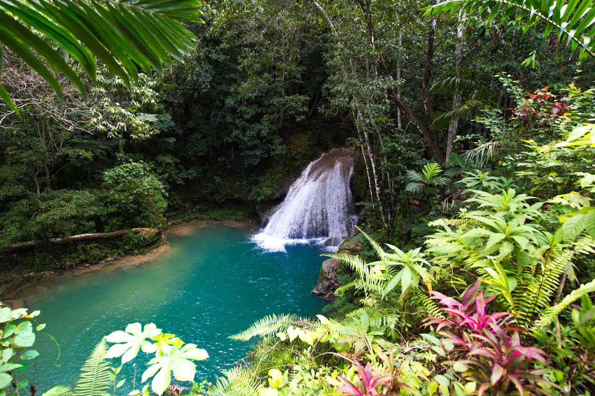 A waterfall at Blue Hole, Jamaica