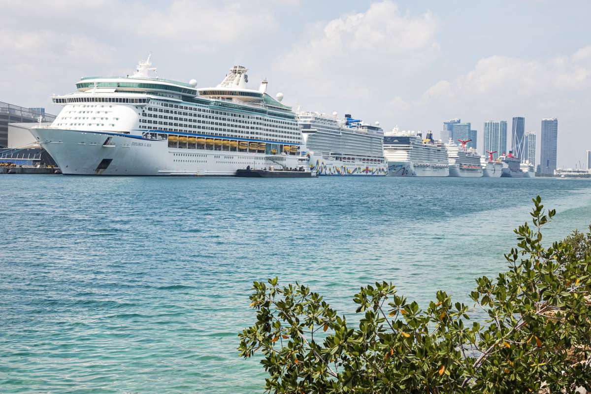 Row of cruise ships docked in Miami