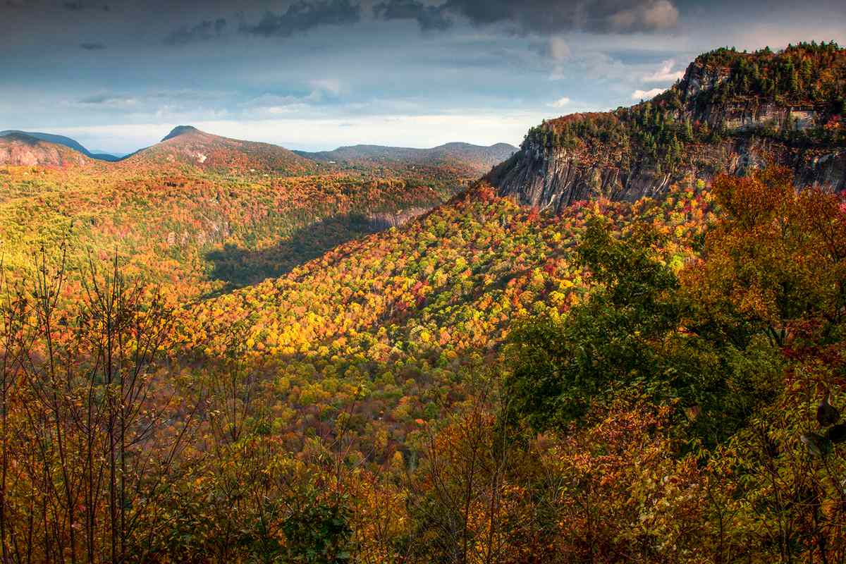 Fall colored trees in Cashiers, North Carolina