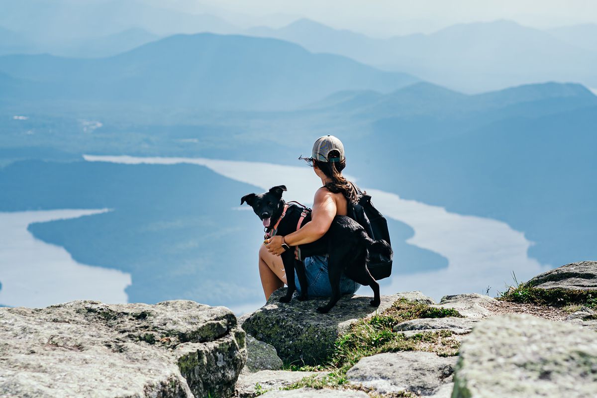 Hiking with a dog at Whiteface Mt