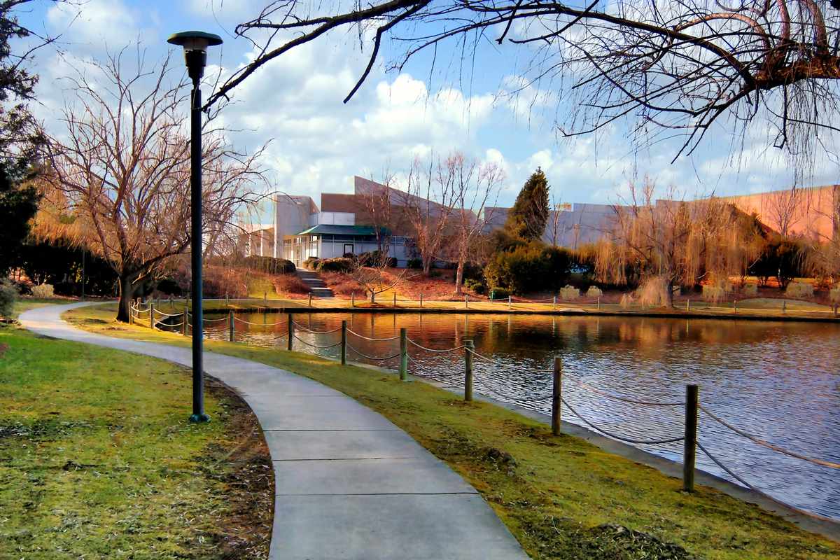 A walk along the lake at University Village, Charlotte, North Carolina on a bright, warm winter day. The trees are bare but the sun is shining through a bright sky with clouds, and the light is golden.