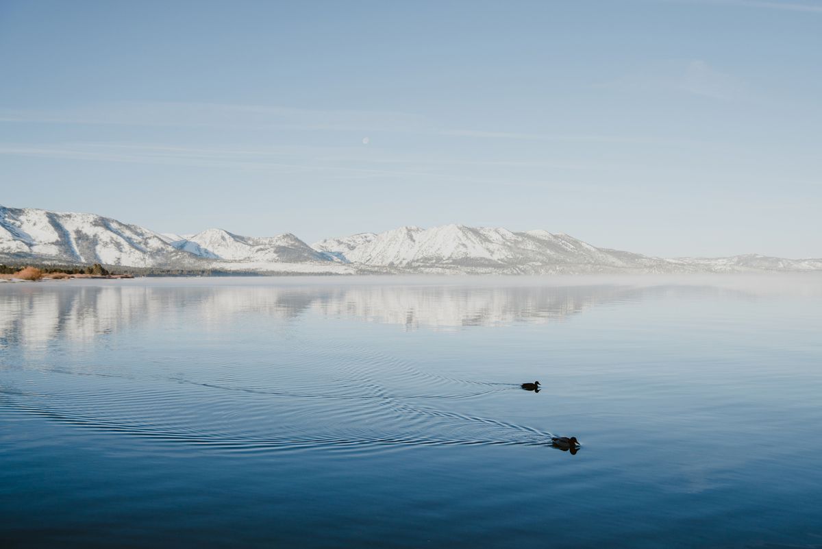 Early morning view of lake Tahoe and mountains with ducks swimming during winter