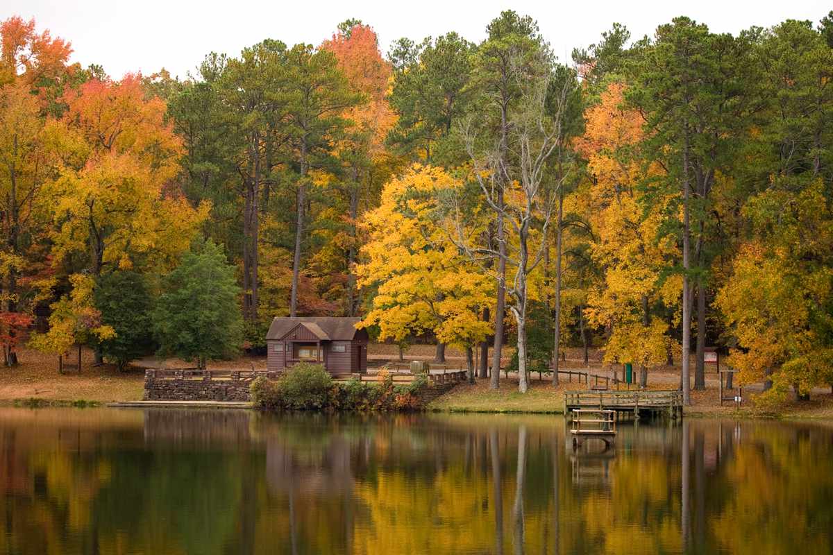 A cabin Pine Mountain Lake