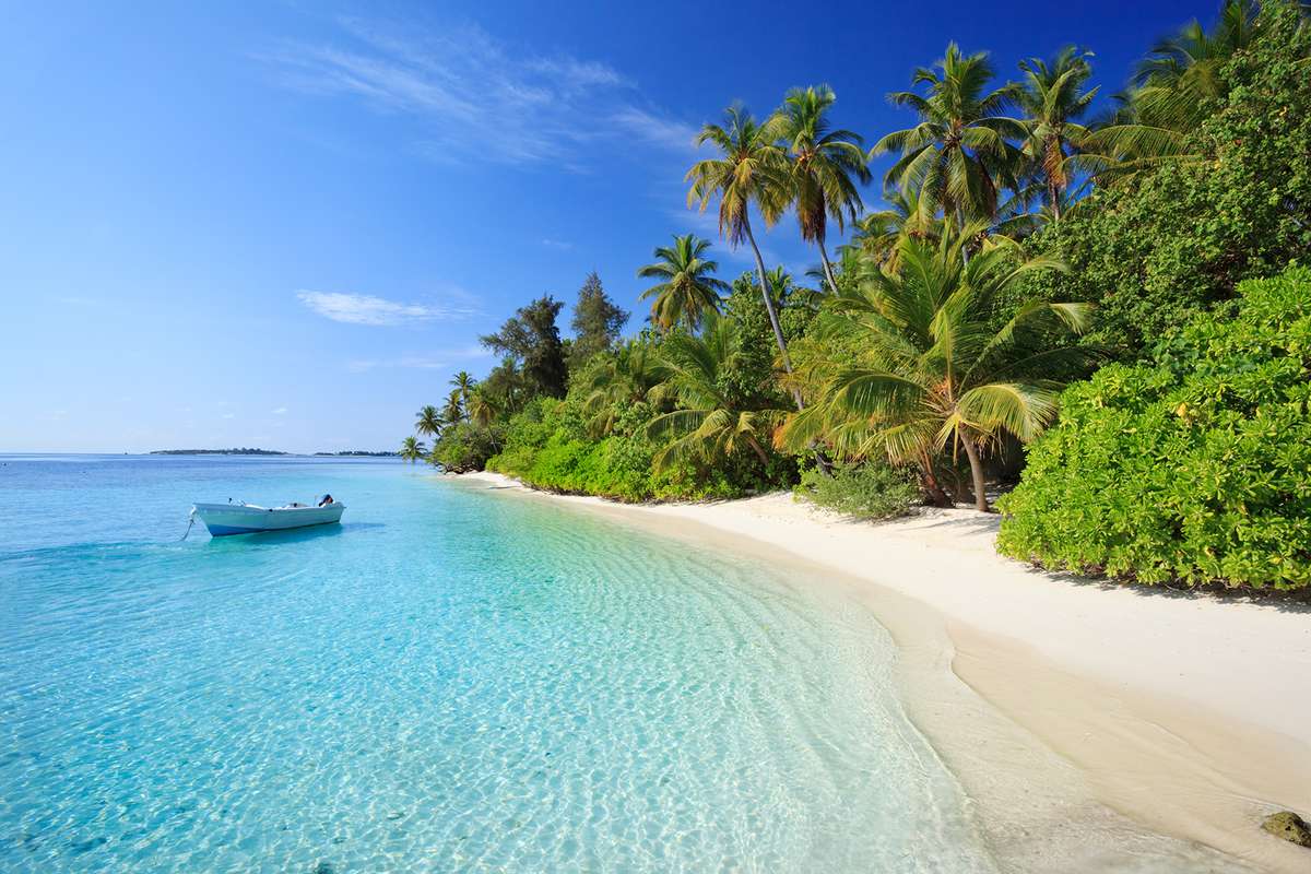 Tropical beach with coconut palms, shortly after sunrise. Biyadhoo island, Kaafu Atoll, Maldives, Indian Ocean.